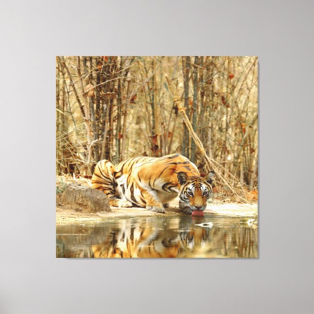 Tiger Reflection Canvas Print (Front)
