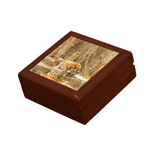 Tiger Reflection Gift Box (Side)