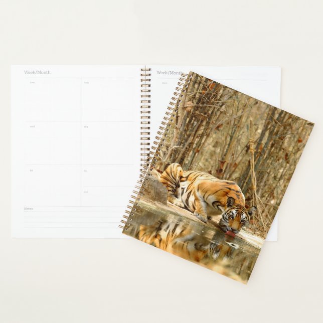 Tiger Reflection Planner (Display)