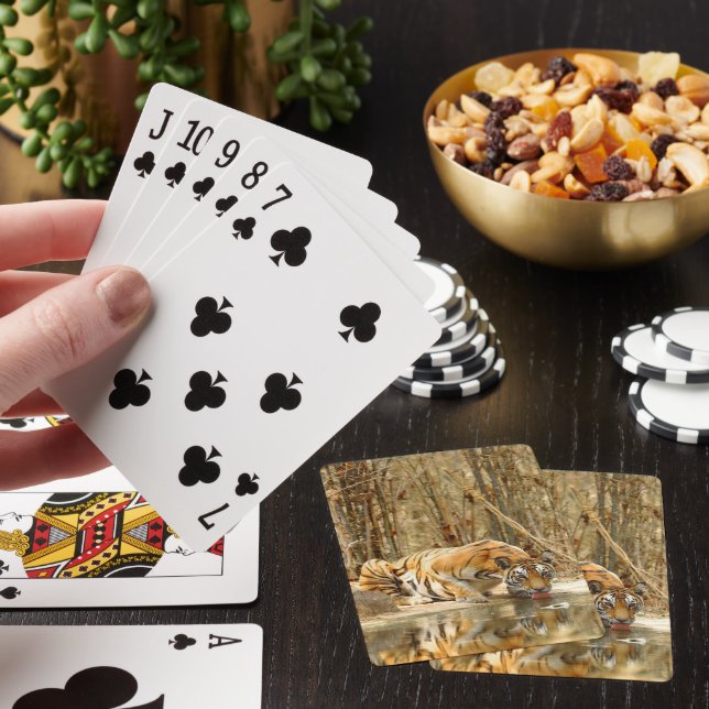 Tiger Reflection Poker Cards (In Situ)