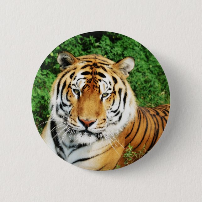 Tiger Relaxing Button (Front)