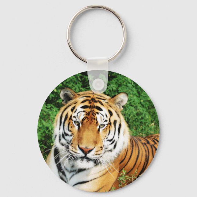 Tiger Relaxing Keychain (Front)
