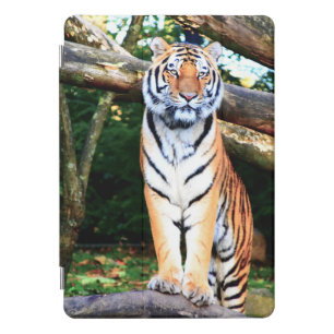 Tiger reserve  iPad pro cover