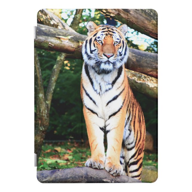 Tiger reserve  iPad pro cover (Front)