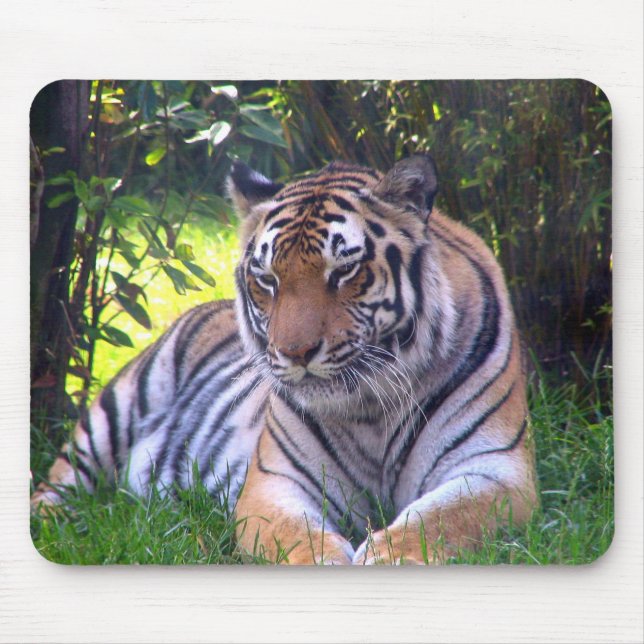Tiger resting mouse pad (Front)