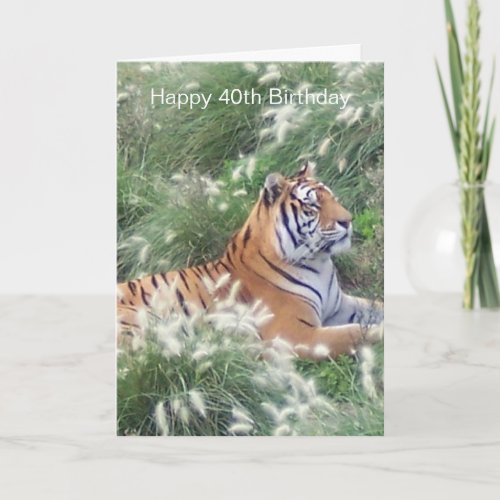 Tiger Resting Personalised 40th Birthday Card