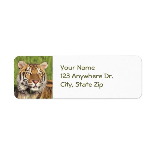 Tiger Return Labels