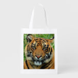 Tiger Reusable Grocery Bag at Zazzle