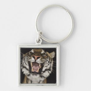 Tiger roaring 2 keychain
