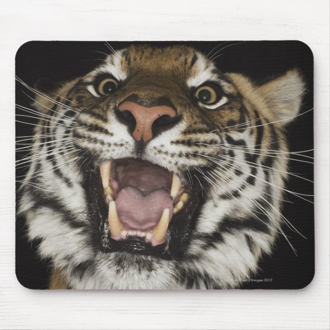 Tiger roaring 2 mouse pad (Front)