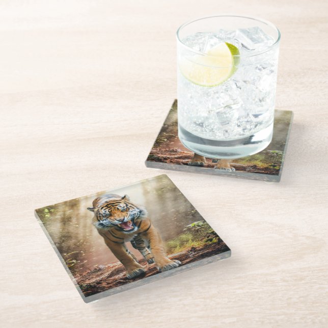 Tiger Roaring in a Backlit Jungle Glass Coaster (Angled)