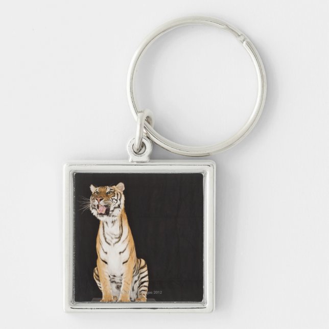 Tiger roaring keychain (Front)