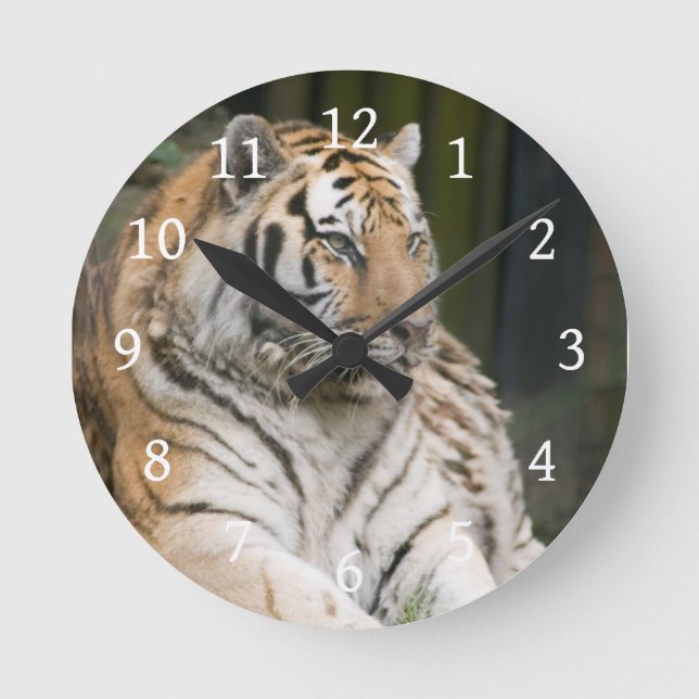 Tiger Round Clock (Front)