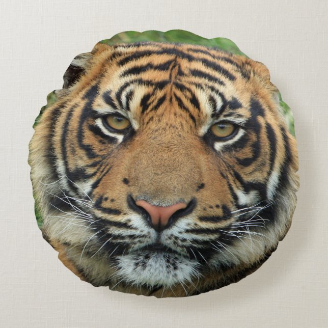 Tiger Round Pillow (Front)