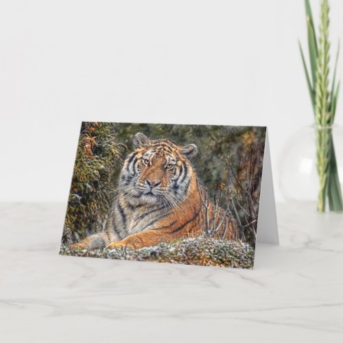 Tiger Royal Snow Card