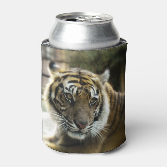 Tiger’s Grace Can Cooler (Can Front)