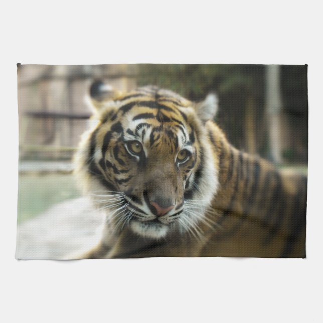 Tiger’s Grace Kitchen Towel (Horizontal)