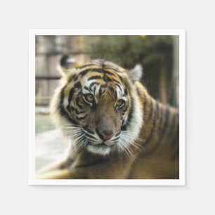 Tiger’s Grace Napkins