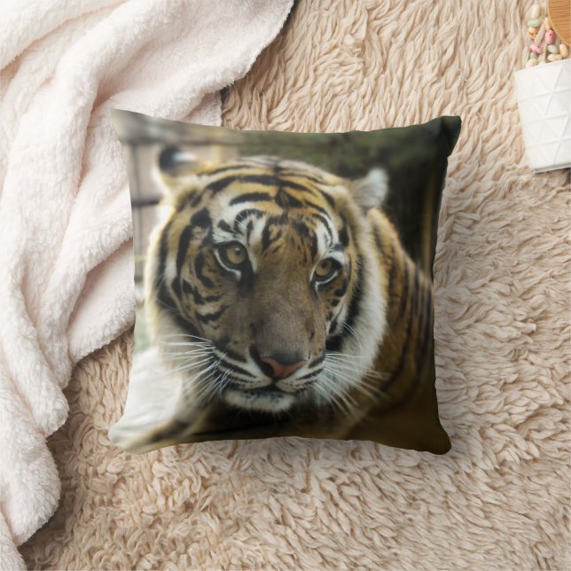 Tiger’s Grace Throw Pillow (Blanket)