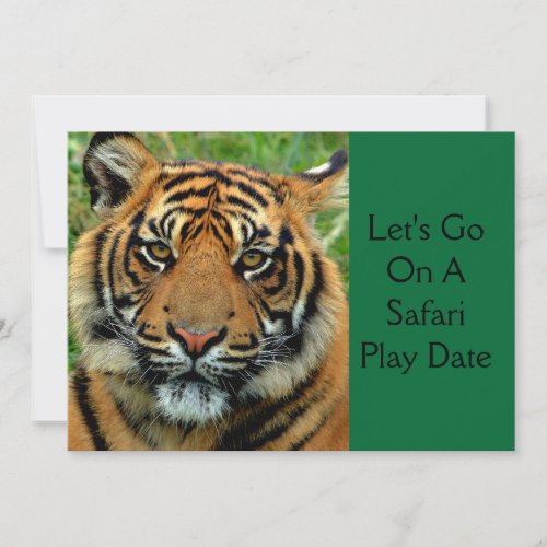 Tiger Safari Play Date Birthday Party Invitations