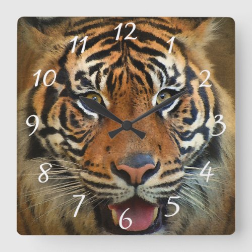 Tiger Safari Wildlife Nature Zoo Animal Art Square Wall Clock