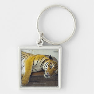 Tiger, Samui, Thailand Keychain