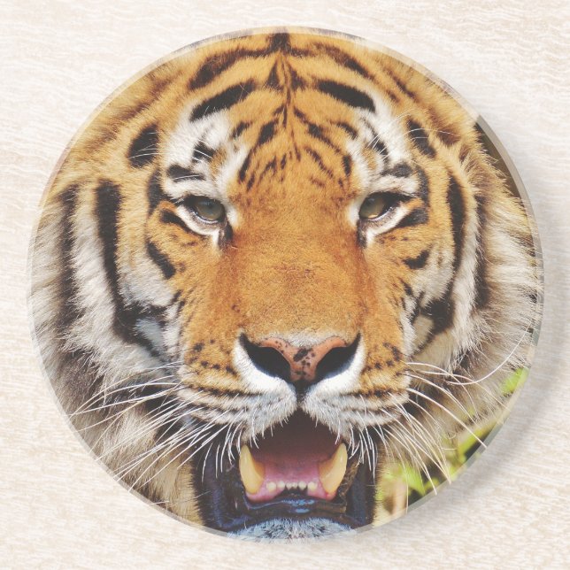 Tiger Sandstone Coaster (Front)