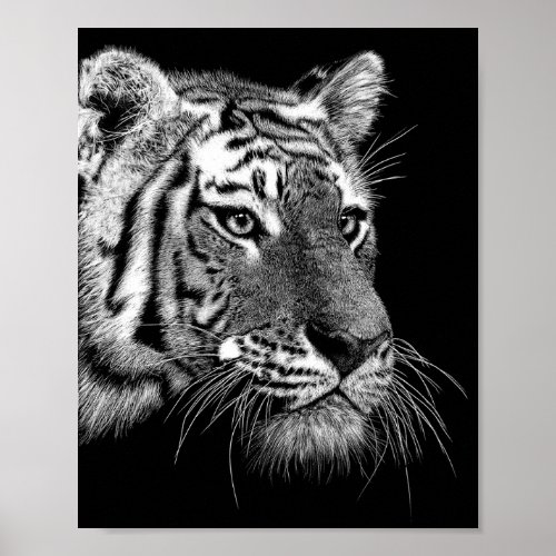 Tiger scratchboard portrait poster