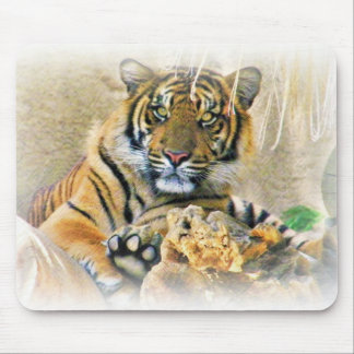 Tiger,Seeking_ Mouse Pad