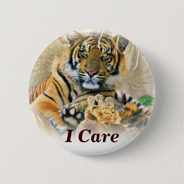Tiger,Seeking_ Pinback Button (Front)
