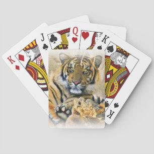 Tiger,Seeking_ Poker Cards