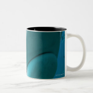 Tiger shark (Galeocerdo cuvier) Shark feed Two-Tone Coffee Mug