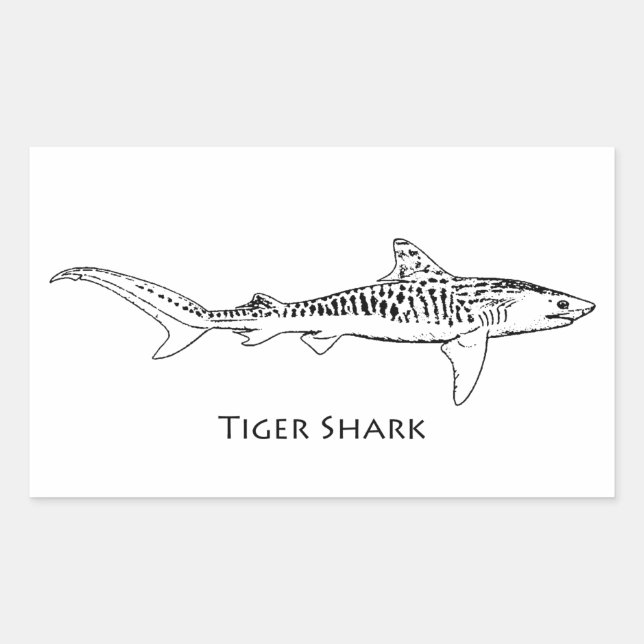 Tiger Shark Illustration Rectangular Sticker (Front)