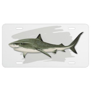 Tiger Shark License Plate