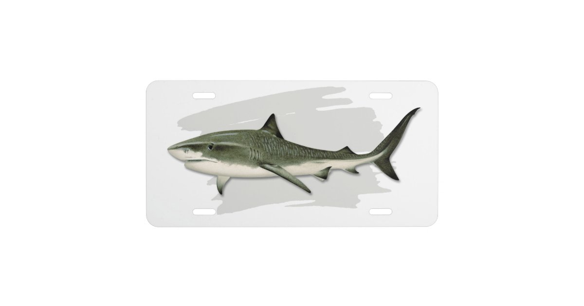 Tiger Shark License Plate Zazzle