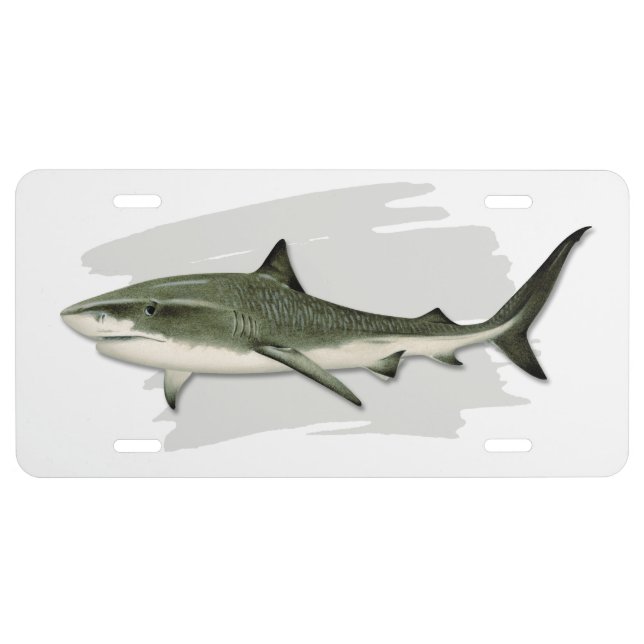 Tiger Shark License Plate (Front)