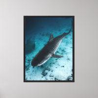 Tiger Shark Underwater Ocean Wildlife Canvas Wall