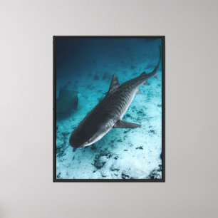 Tiger Shark Underwater Ocean Wildlife Canvas Wall  Print