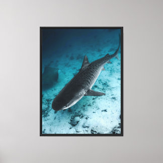 Tiger Shark Underwater Ocean Wildlife Canvas Wall Print