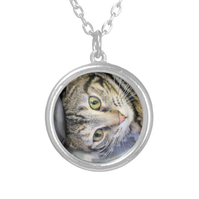 Tiger Silver Plated Necklace (Front)