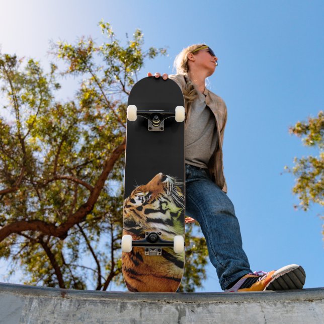 Tiger skateboard (Outdoor 1)