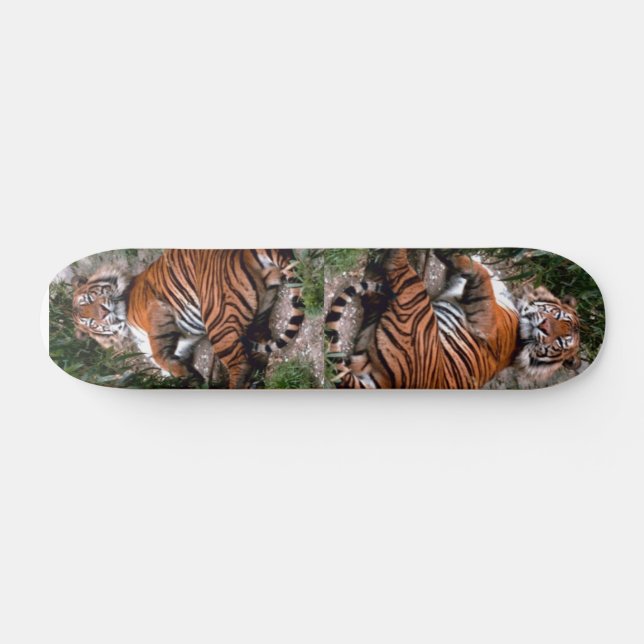 Tiger Skateboard | Zazzle