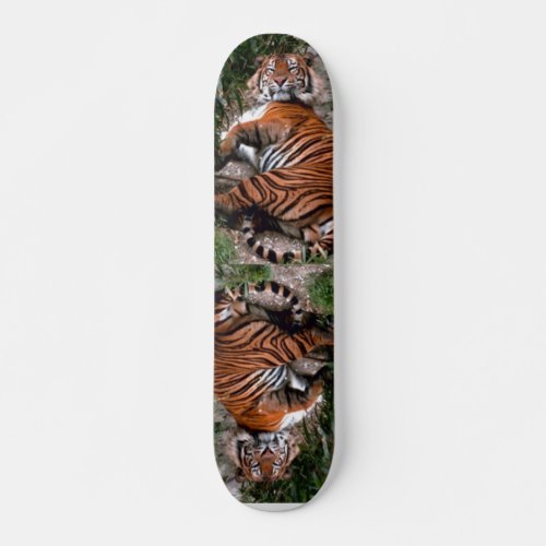 Tiger Skateboard