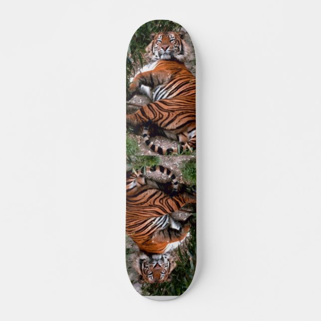 Tiger Skateboard (Front)