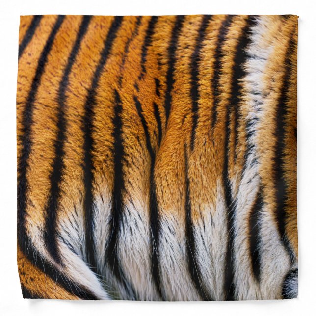 Tiger Skin Bandana (Front)