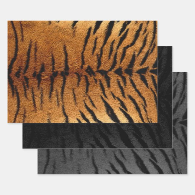 Tiger Skin Print in three colors Wrapping Paper Sheets (Set)
