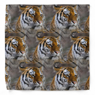 Tiger Skin Print, Safari Animal Gift Pattern Bandana