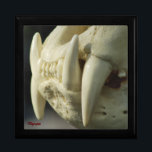 Tiger Skull Gift Box<br><div class="desc">If you're into Skulls and Animals this Cool Tiger Skull tile box is sure to please. The close-up photograph shows off the Awesome Dagger like Teeth of a Tiger.</div>