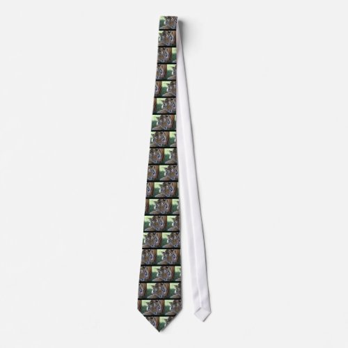 Tiger_sleeping_in_the_grass WILD ANIMALS BIG CATS Neck Tie