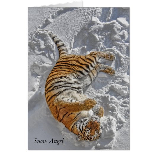 Tiger "Snow Angel" Cards (Front)